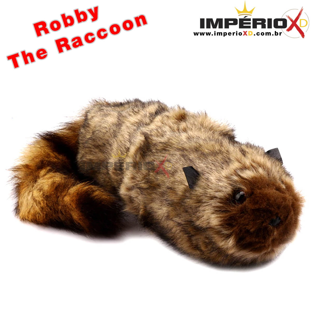 Robby The Raccoon