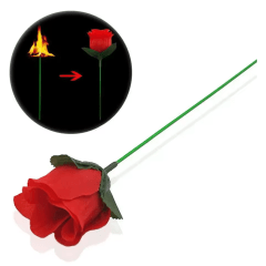 Tocha em Flor - Rosa