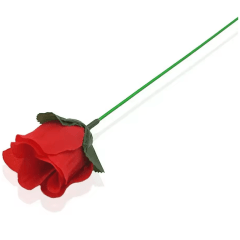 Tocha em Flor - Rosa